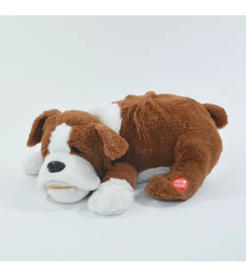 Geadopteerd speelgoed Hund Fridolin - Dimensies: 29x21x10cm, toegewijd aan tactiel gebruik