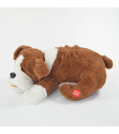 Schnarchender Hund Fridolin