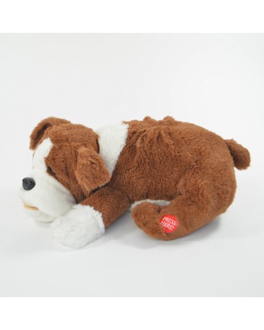 Schnarchender Hund Fridolin