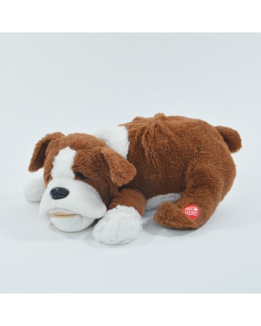 Schnarchender Hund Fridolin