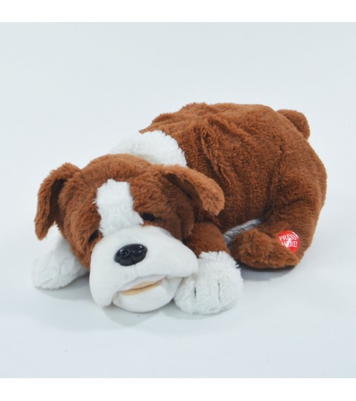 Schnarchender Hund Fridolin