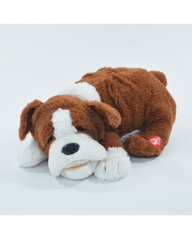 Schnarchender Hund Fridolin