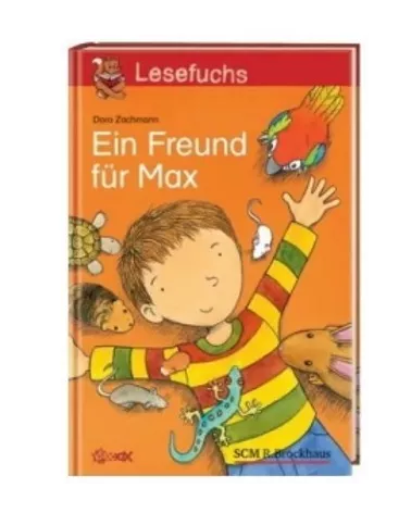 un ami pour max - ringelfee foerderspiele