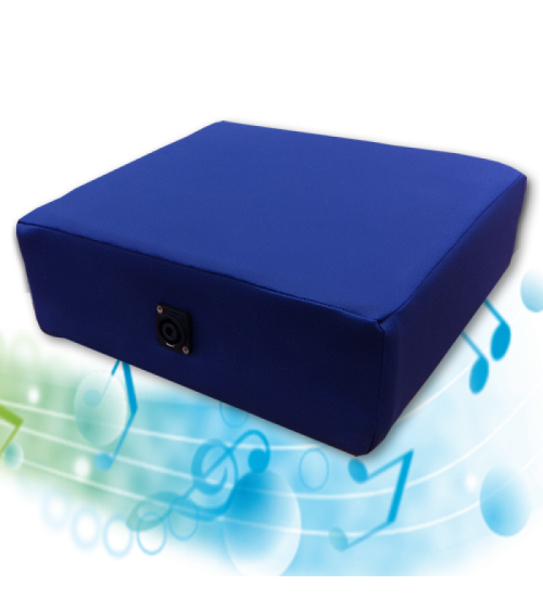 Modulo sonoro – musica palpabile per inclusione e relax