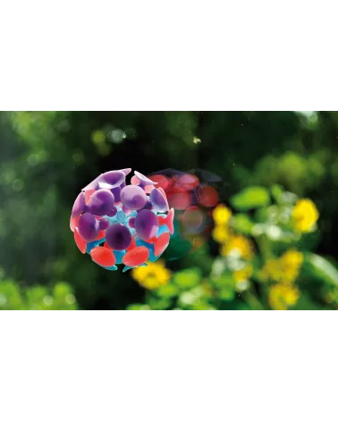 Mini Suction Ball - Dimensions: approx. Ø 4,5cm - Material: plastic - 1,89