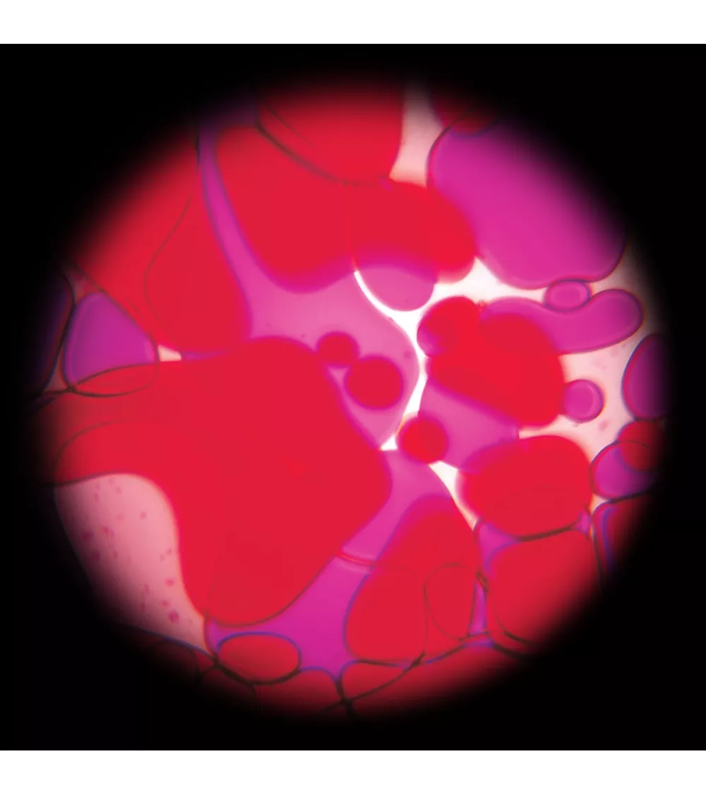 Ölscheibe Violett-Rot mit Lavalampen Effekt für den Space Projektor
