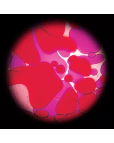 Ölscheibe Violett-Rot mit Lavalampen Effekt für den Space Projektor