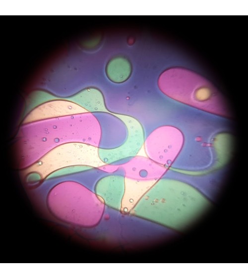 Disco de aceite verde violeta con efecto Lavalampen para el proyector espacial