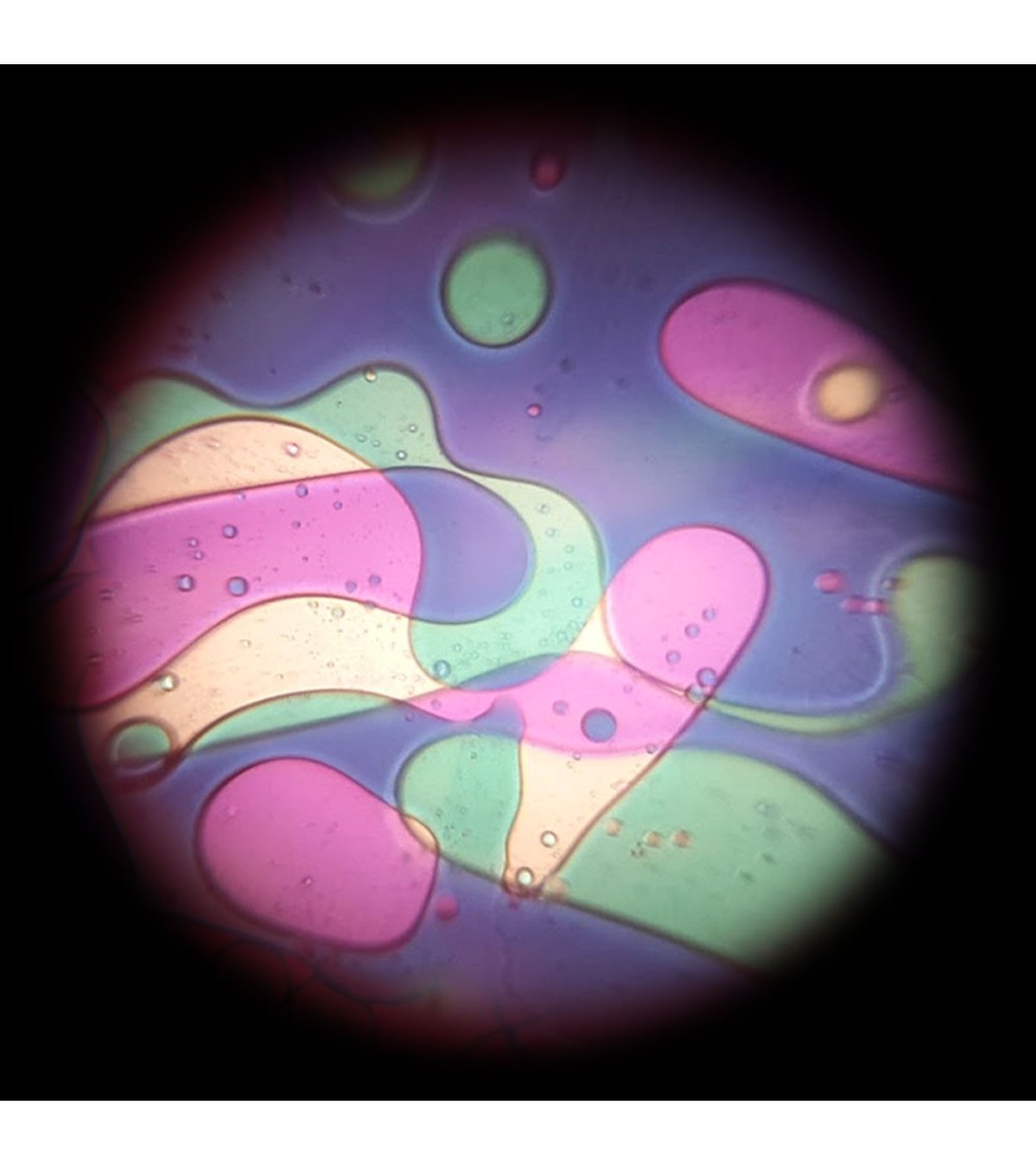 Disco de aceite verde violeta con efecto Lavalampen para el proyector espacial