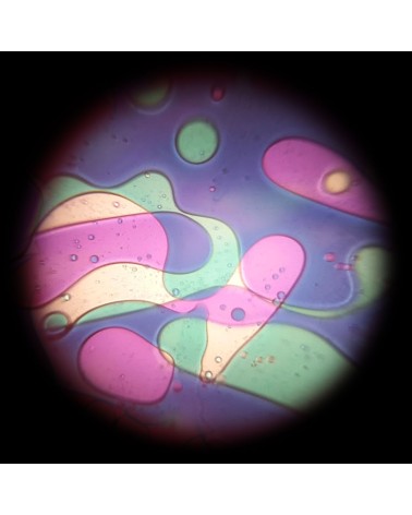 Disque d'huile vert Violet avec effet Lavalampen pour projecteur spatial