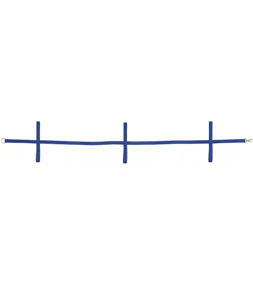 Camminare, linea di sicurezza - Colore: Blu - Lunghezza: 180cm - 11,90