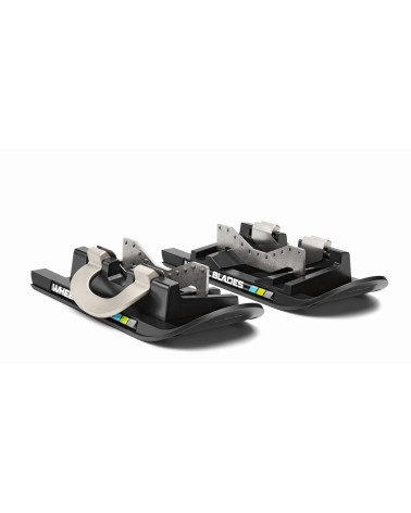 Wheelblades - Ski für Rollstühle