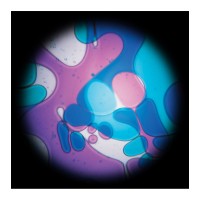 Aceites